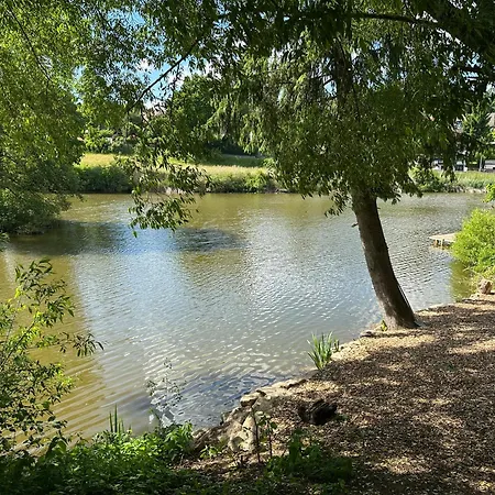 Mit Kamin - Hunde Willkommen Falkenstein (Upper Palatinate)