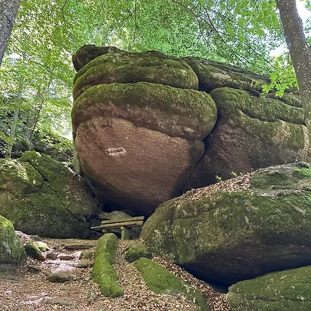 Mit Kamin - Hunde Willkommen